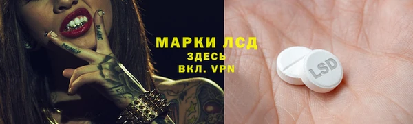 эйфоретик Надым