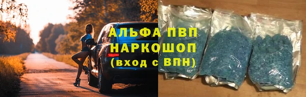 эйфоретик Надым