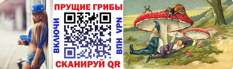 Псилоцибиновые грибы ЛСД  shop как зайти  Щёлково 